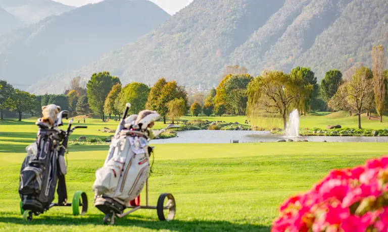 Swing Perfetto